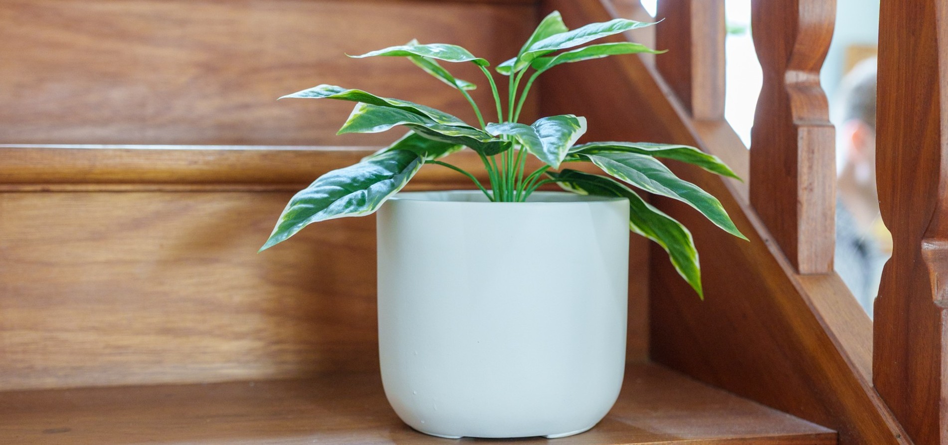 Pot blanc en céramique posé sur un escalier